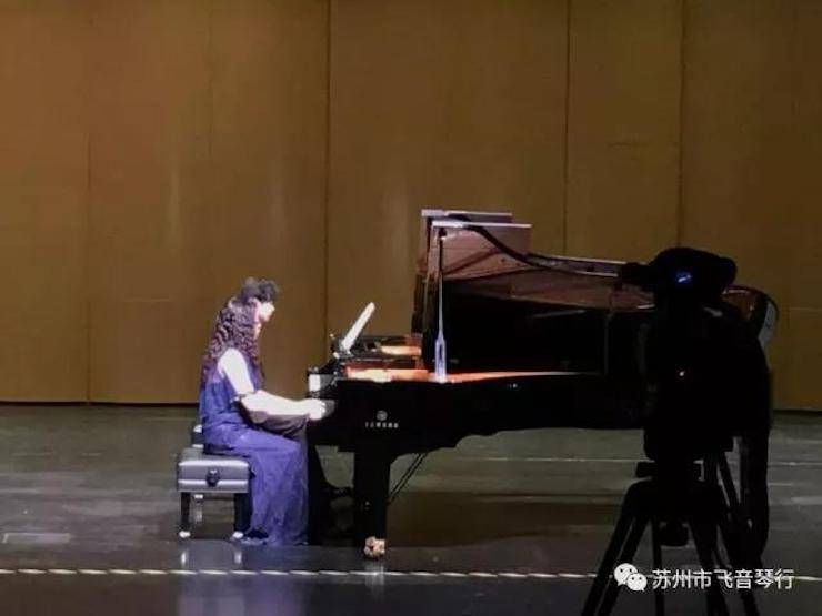 【报道】苏州飞音琴行佰利乐钢琴旗舰展厅开业仪式暨贝森朵夫艺术家李哲钢琴音乐会圆满落幕