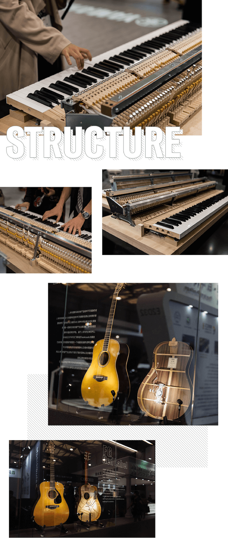 佰利乐亮相Music China 2019
