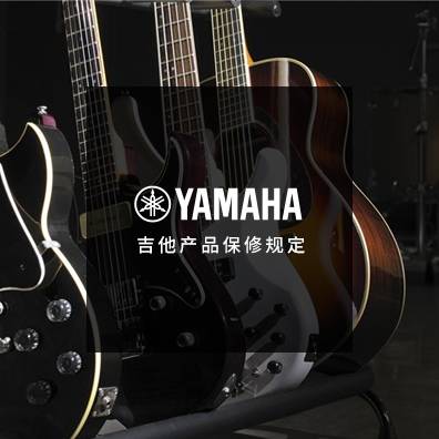 吉他、贝斯和音箱