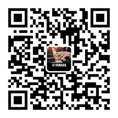 青春火焰——2022首届佰利乐乐龄电子键盘展演