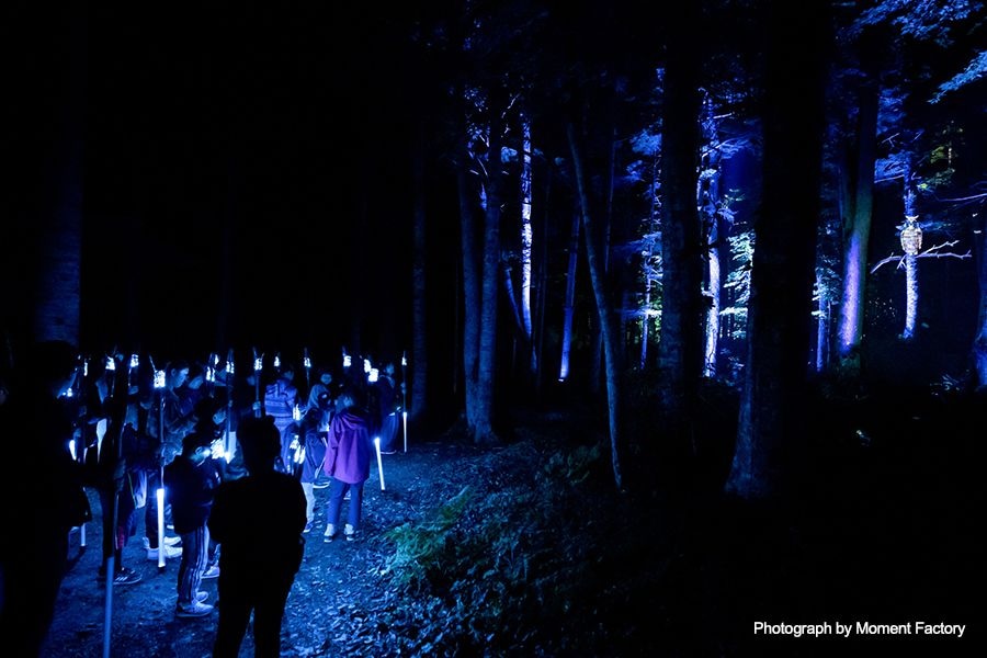 案例｜佰利乐为壮观的Kamuy Lumina魔法夜行旅游项目提供配乐设备