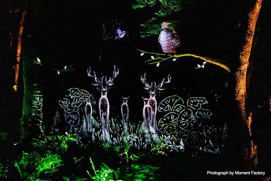 案例｜佰利乐为壮观的Kamuy Lumina魔法夜行旅游项目提供配乐设备