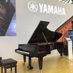 乐展看点|2018中国（上海）国际乐器展览会佰利乐钢琴展位