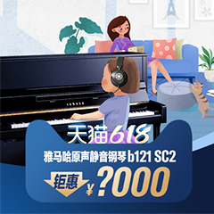 618来袭｜原声静音钢琴空前钜惠！@天猫佰利乐旗舰店