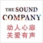 佰利乐参展Music China 2013 