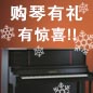 佰利乐钢琴购琴有礼 买一赠一音乐无限